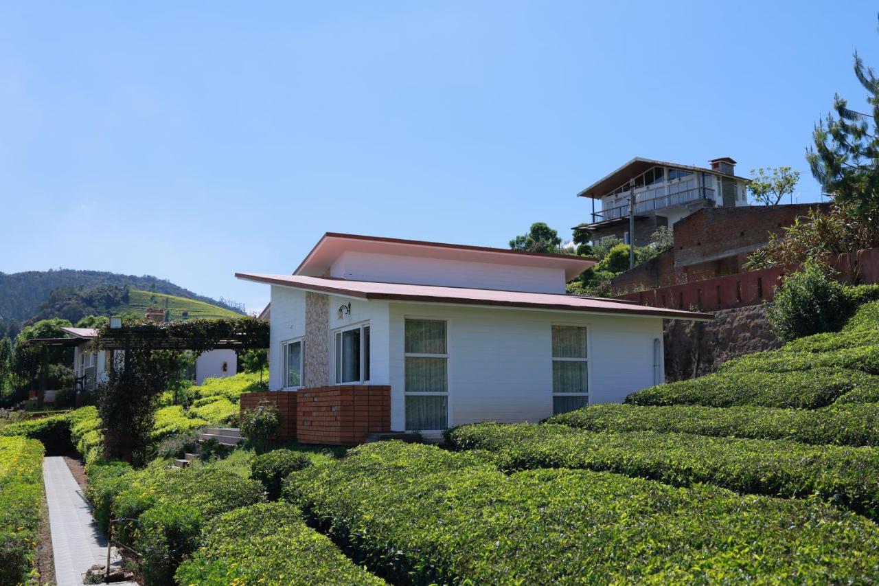 Planters Punch Resort أوتي المظهر الخارجي الصورة