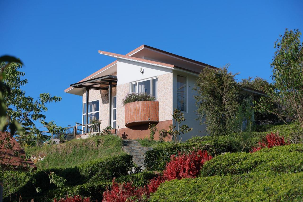 Planters Punch Resort أوتي المظهر الخارجي الصورة