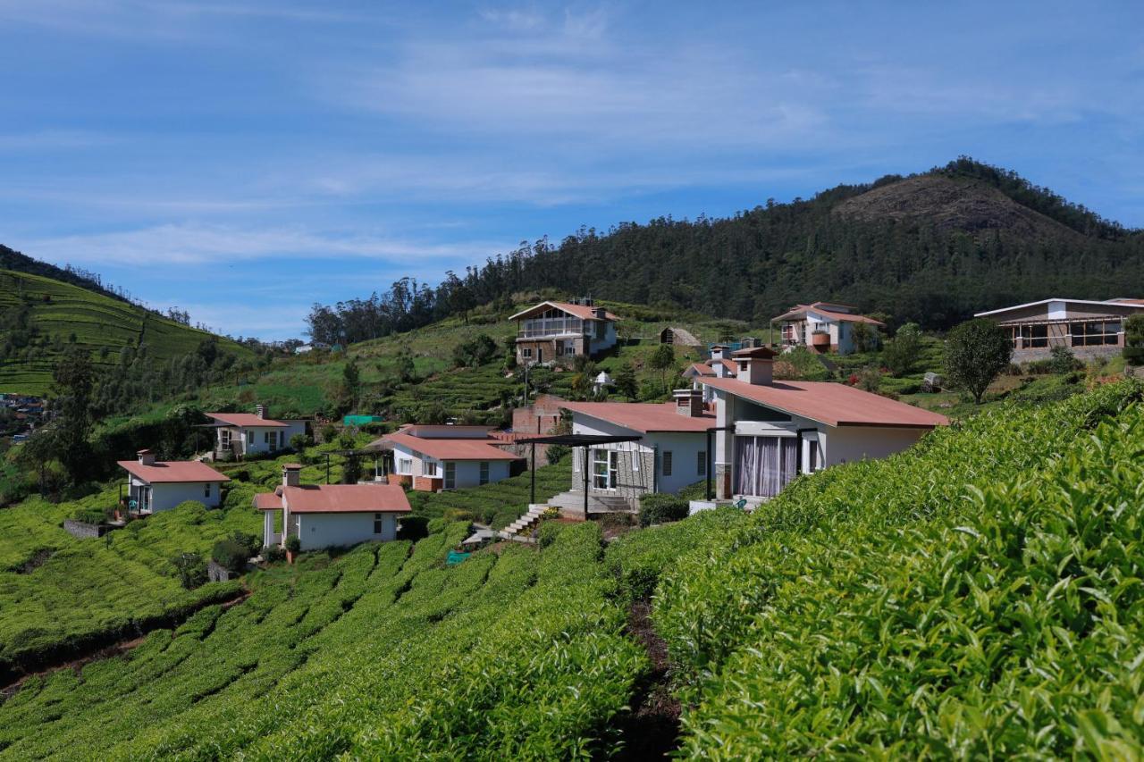 Planters Punch Resort أوتي المظهر الخارجي الصورة
