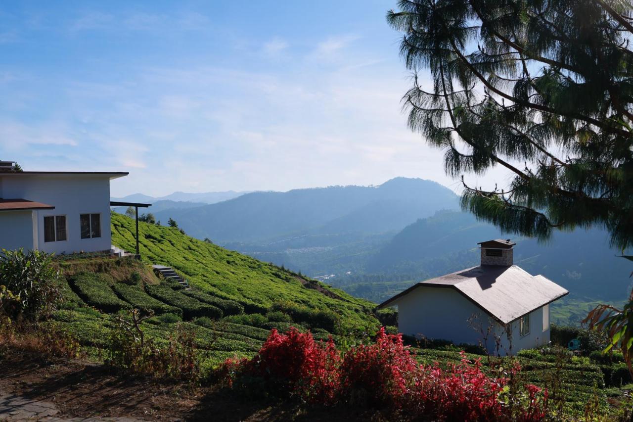 Planters Punch Resort أوتي المظهر الخارجي الصورة