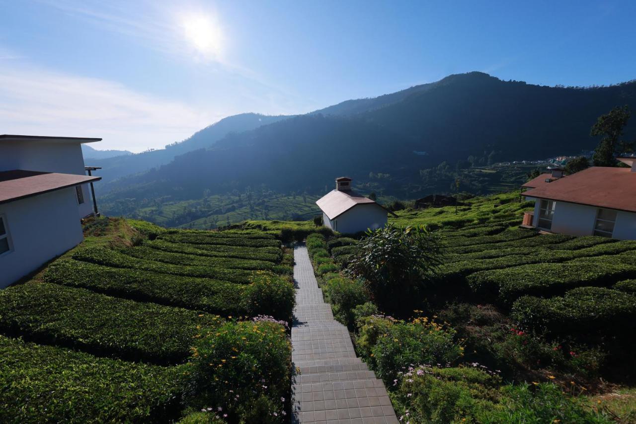 Planters Punch Resort أوتي المظهر الخارجي الصورة